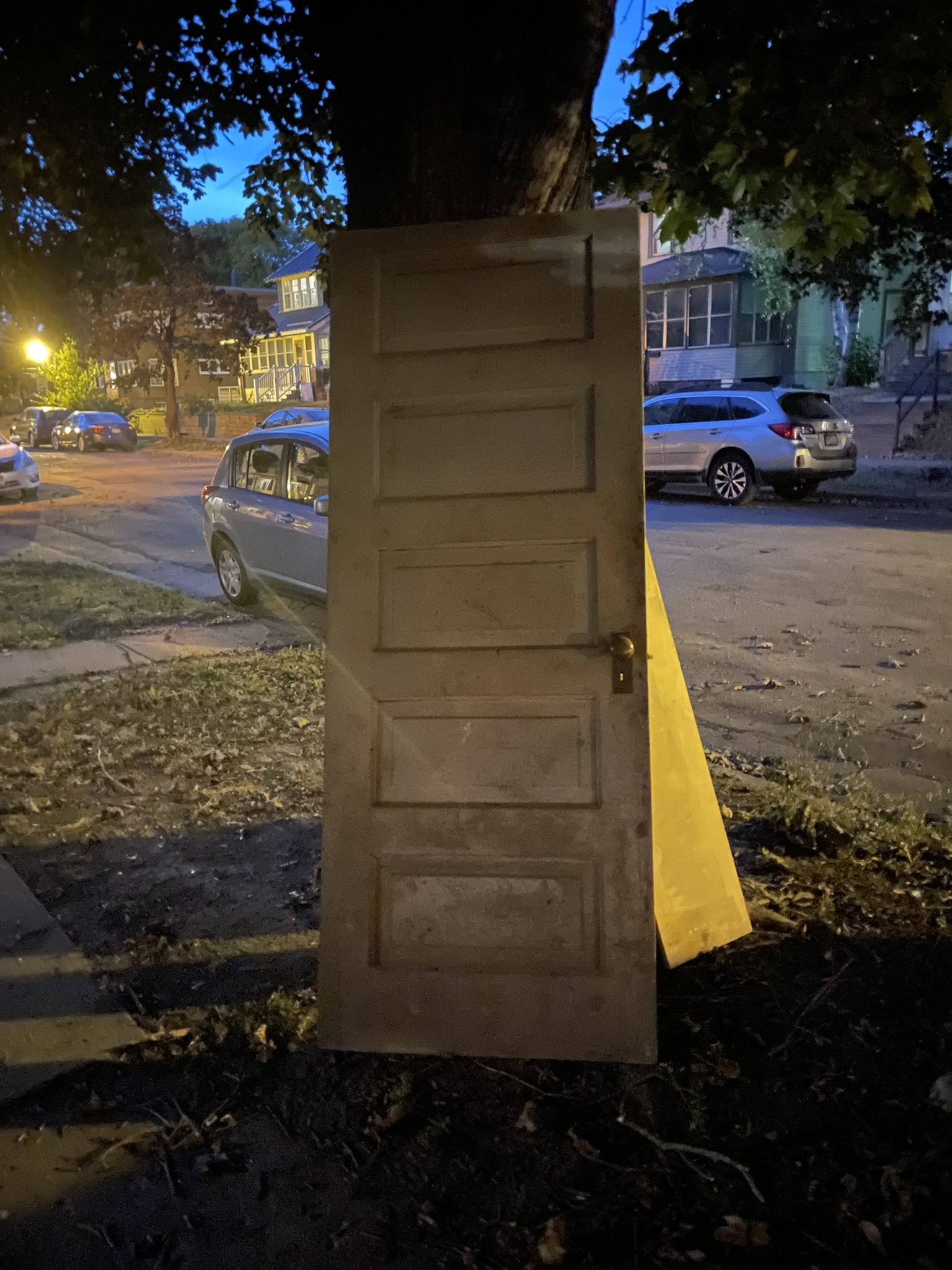 a door laying against a tree in Saint Paul, Minnesota, not in a door frame