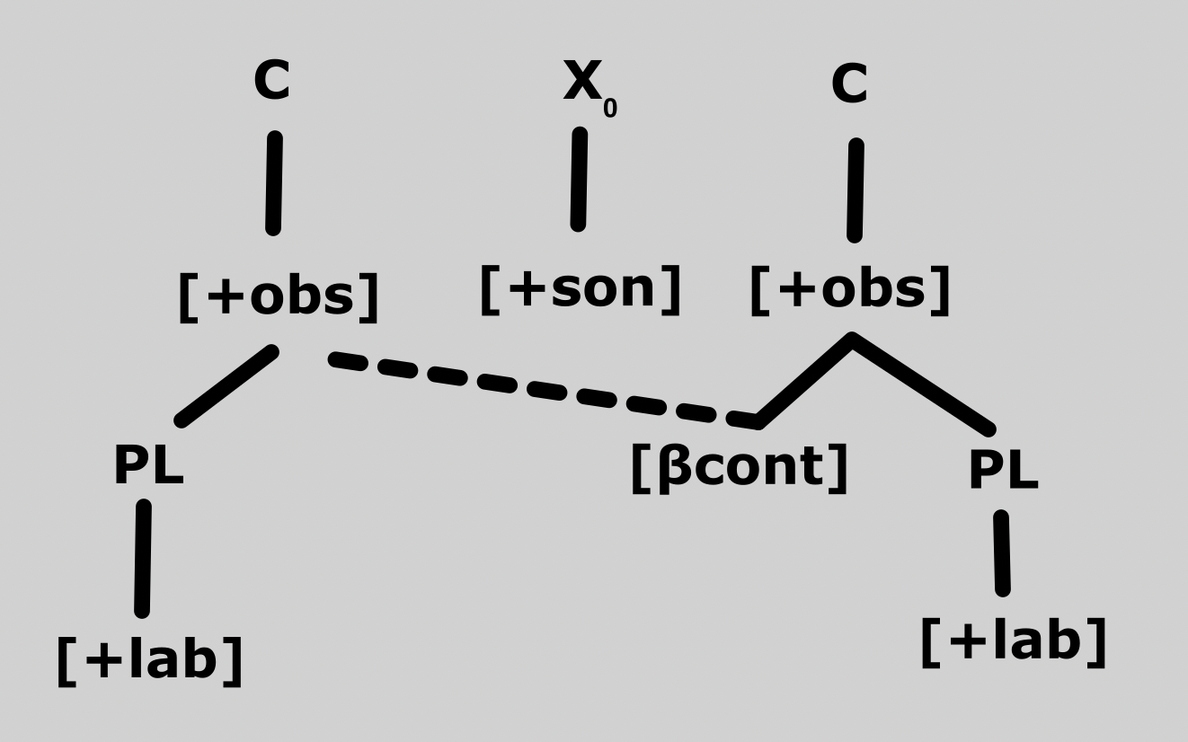 A feature geometry diagram demonstrating labial consonant harmony.